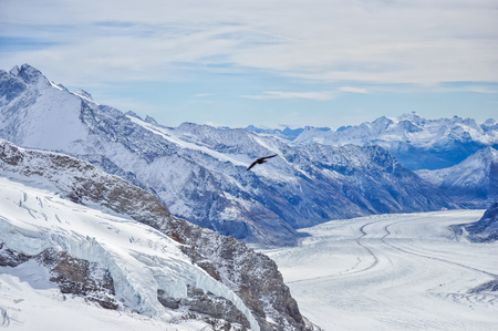 Jungfraujoch scenery in Switzerlandの写真素材