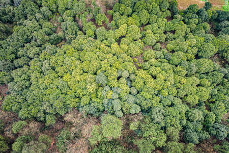 Rural countryside aerial photography natural scenery