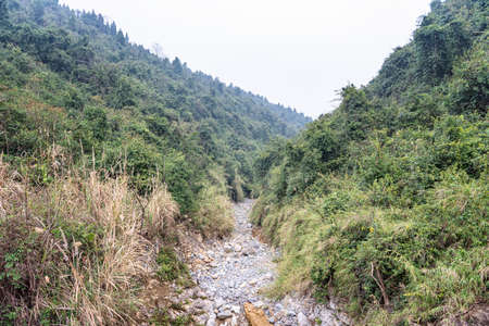 Forest canyon rock natural sceneryの写真素材