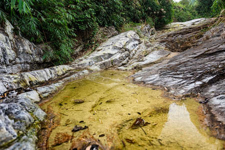 Forest canyon rock natural sceneryの写真素材