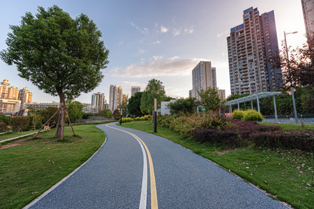 Park grass trail landscape scenery