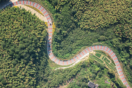 Chongqing Yongchuan Chashan Bamboo Sea Aerial Photography Natural Scenery