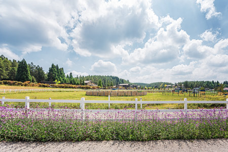 Garden Meadow Rural Sceneryの写真素材