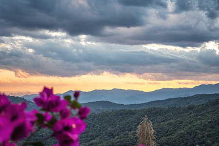 Natural scenery of Jingmai Mountain in Yunnanの写真素材