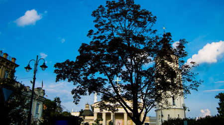 It seems that tree has cross on it. It's like apples.のeditorial素材