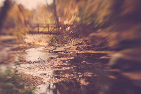 Bridge Through the Woodsの写真素材