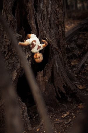 Abandoned baby doll in the woodsの写真素材