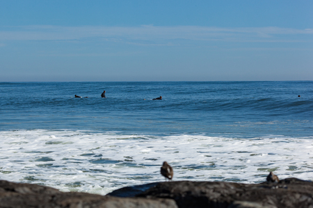 DEAL, NEW JERSEY - September 13, 2017: Surfers soak up the last bit of summer and enjoy the swells from Hurricane Joseのeditorial素材