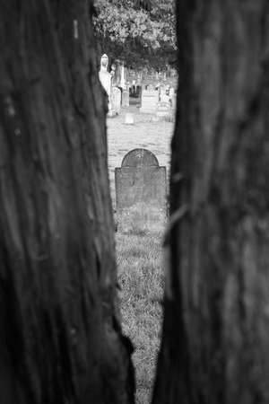 RAHWAY, NEW JERSEY - April 28, 2017: An old tombstone is visible between trees at Rahway Cemeteryのeditorial素材