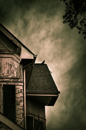 Details are seen on an old, abadoned house, in need of repair. A pigeon is perched on the roof.の写真素材
