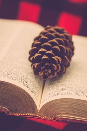 A dry pinecone sits on top of an old vintage dictionary on a red and black plaid background.の写真素材