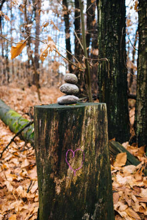purple colored heart drawn above trunk with three stones at the top, in the woods,の写真素材