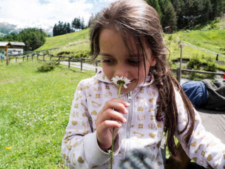 portrait of a girl sniffs a mountain daisy while sitting at a table in the meadowのeditorial素材