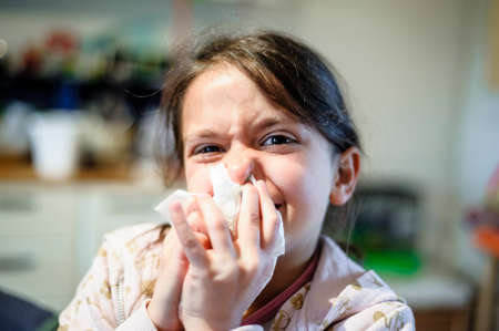 5 year old girl blows her nose with paper towel at home closeup portraitの写真素材