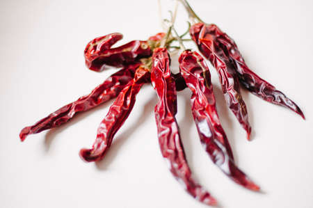 still-life photograph of spicy chillies white backgroundの写真素材