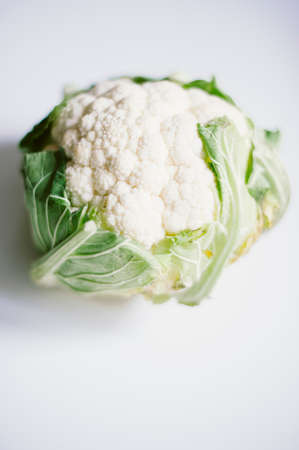 still-life photograph of cabbage on white backgroundの写真素材