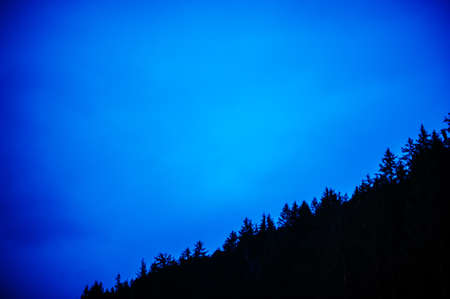 mountain fir forest silhouetted against the blue sunset sky is almost nightの写真素材