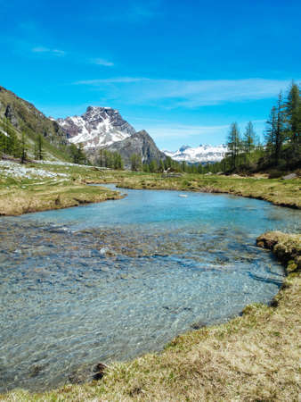 alpine river stream flowing among alpine meadows of the devero alp on a sunny day, Lepontine Alps, summer mountain landscapeの写真素材