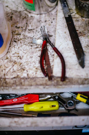 interior repair shop and shoe making, tools to repair shoes hammer pliersの写真素材