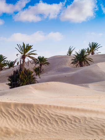 sand dunes in the sahara desert, blue sky, near Douz Tunisia Africa