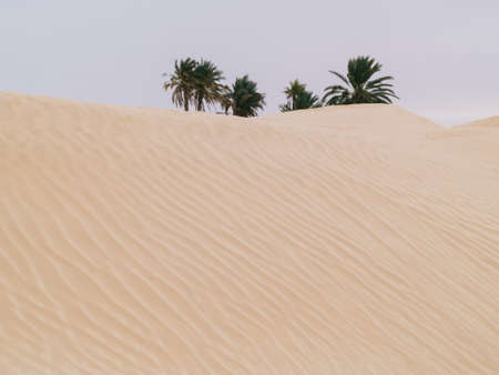 sand dunes in the sahara desert, blue sky, near Douz Tunisia Africaの写真素材