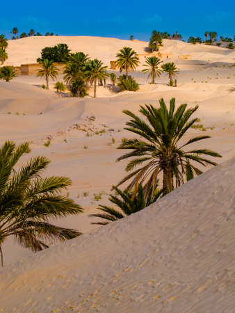 sand dunes in the sahara desert, blue sky, near Douz Tunisia Africa