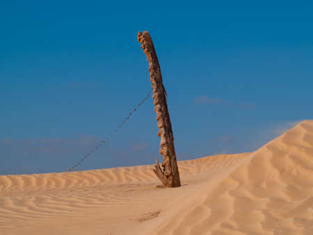 Gateway to the Sahara", Douz is a popular destination for tourists looking to experience the desertの写真素材