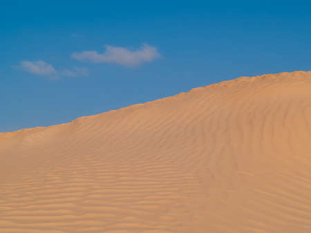 Gateway to the Sahara", Douz is a popular destination for tourists looking to experience the desertの写真素材