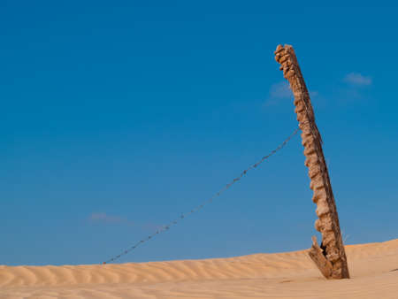 Gateway to the Sahara", Douz is a popular destination for tourists looking to experience the desertの写真素材