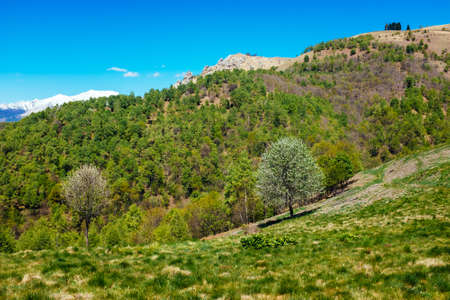 Meadows and hills in spring, in the background the Alpine chain, Piedmont Italyの写真素材