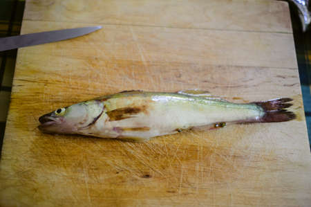 wooden board with lake fish, pike-perchの写真素材