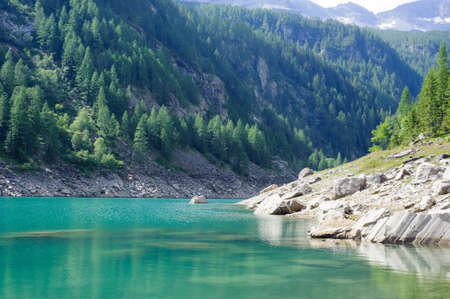 alpine high mountain lake, coniferous woods, Antrona valley Campliccioli lake, Italy Piedmontの写真素材