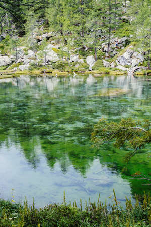 alpine lake, the forest is reflected in crystal clear water, cloudy day, lake of witches, alp...