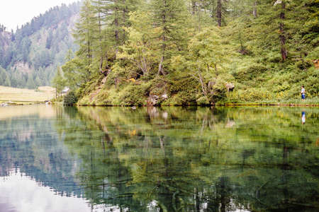 alpine lake, the forest is reflected in crystal clear water, cloudy day, lake of witches, alp devero, Italyの写真素材
