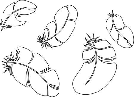 Feathers in a flat style on white background. Contour pattern. Coloringのイラスト素材