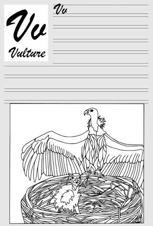 Vulture. English alphabet, coloring outline, write and paint. Set of cards, illustration and text.のイラスト素材