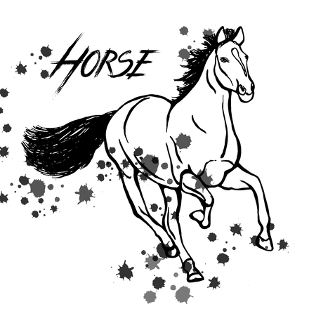 Hand drawn sketch style horse in black and white illustration isolated on white background.のイラスト素材