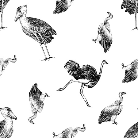 Seamless pattern of hand drawn sketch style shoebill, African vulture and ostrich isolated on white background.のイラスト素材