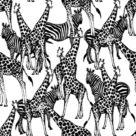 Seamless vector pattern of hand drawn sketch style giraffes and zebras.のイラスト素材