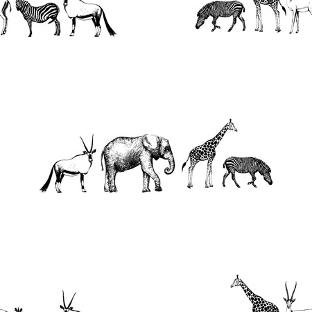 Seamless pattern of hand drawn sketch style oryx, elephant, giraffe and zebra isolated on white background.のイラスト素材