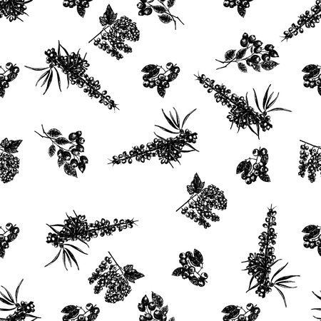 Hand drawn sketch style set of different kinds of berries. Vector illustration isolated on white background.のイラスト素材