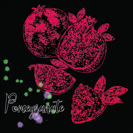 Hand drawn sketch set of pomegranate. Whole fruit and sliced. Vector illustration isolated on black background.のイラスト素材
