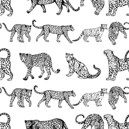 Seamless pattern of sketch style leopards. Vector illustration isolated on white background.のイラスト素材