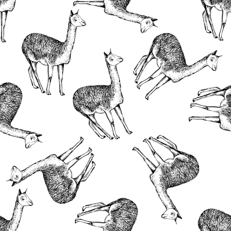 Seamless pattern of hand drawn sketch style alpaca. Vector illustration isolated on white background.のイラスト素材