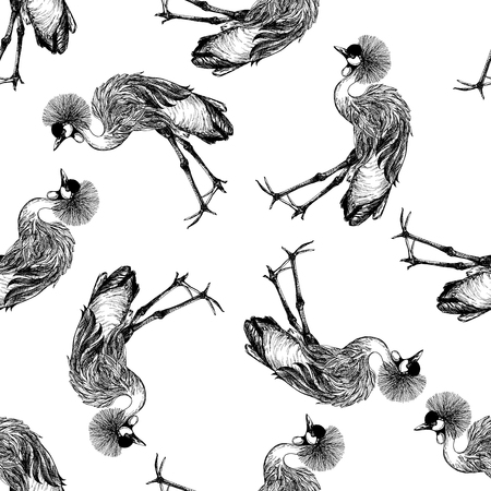 Seamless pattern of hand drawn sketch style crowned crane. Vector illustration isolated on white background.のイラスト素材