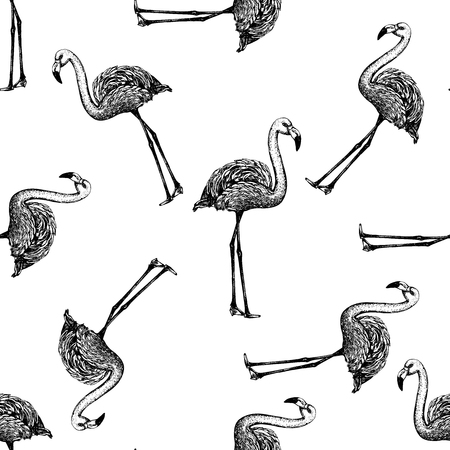 Seamless pattern of hand drawn sketch style flamingo. Vector illustration isolated on white background.のイラスト素材