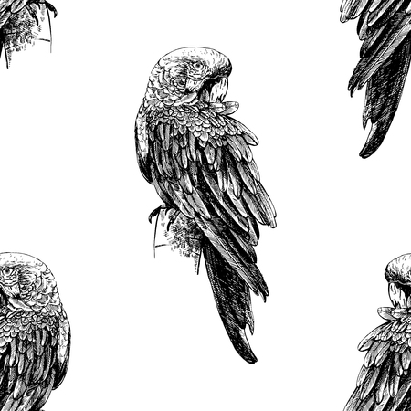 Seamless pattern of hand drawn sketch style Ara parrots. Vector illustration isolated on white background.のイラスト素材