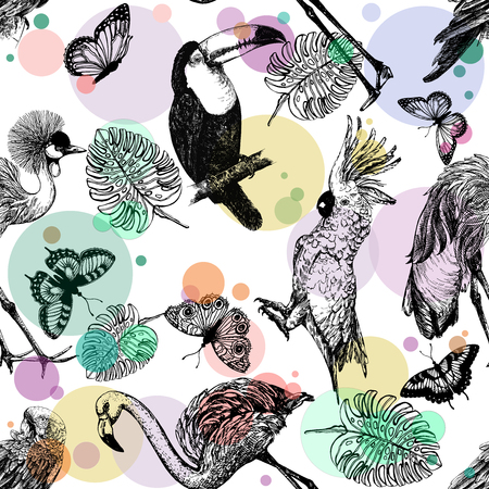 Seamless pattern of hand drawn sketch style exotic birds, plants and butterflies isolated on white background. Vector illustration.のイラスト素材