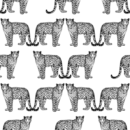 Seamless pattern of hand drawn sketch style leopards isolated on white background. Vector illustration.のイラスト素材