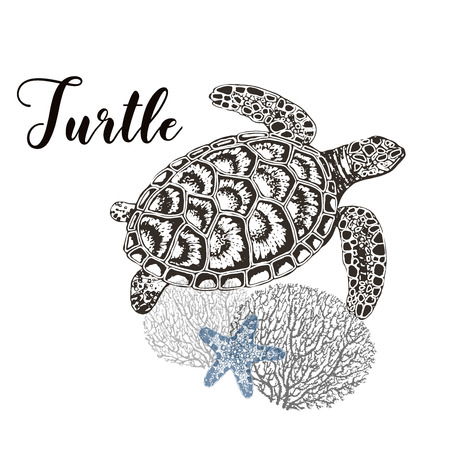 Hand drawn sketch style turtle, corals and sea star isolated on white background. Vector illustration.のイラスト素材